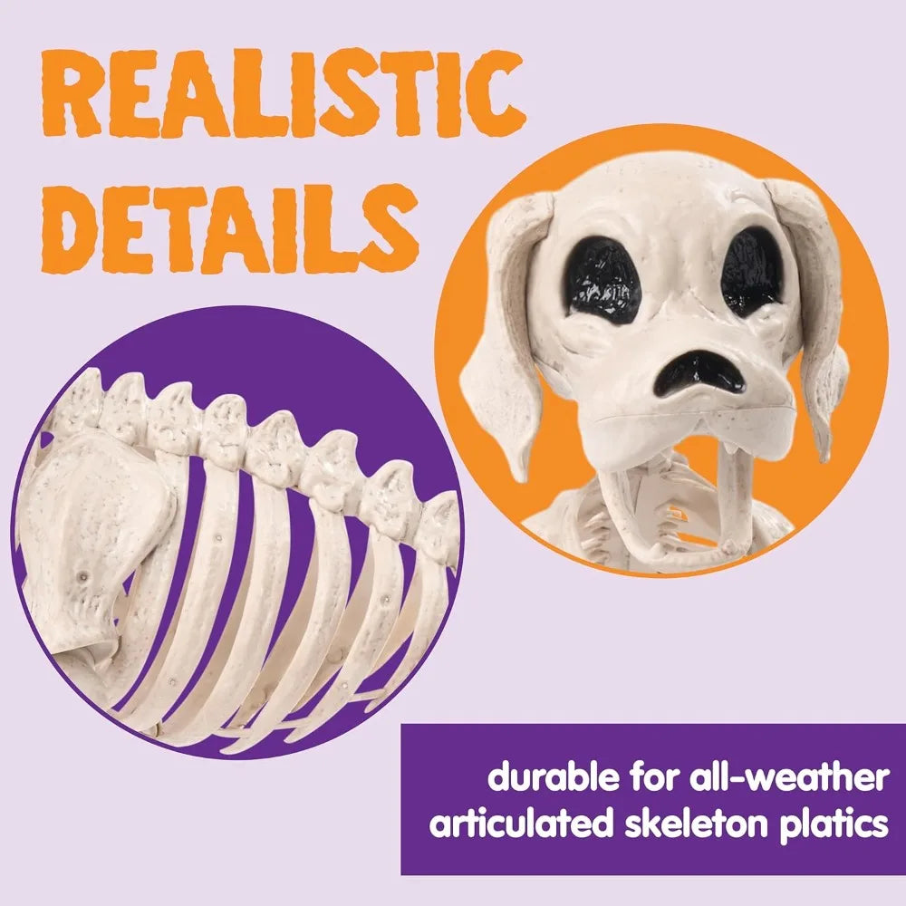 Posable Halloween Dog Skeleton – 12.6" Realistic Skeleton Puppy Decoration