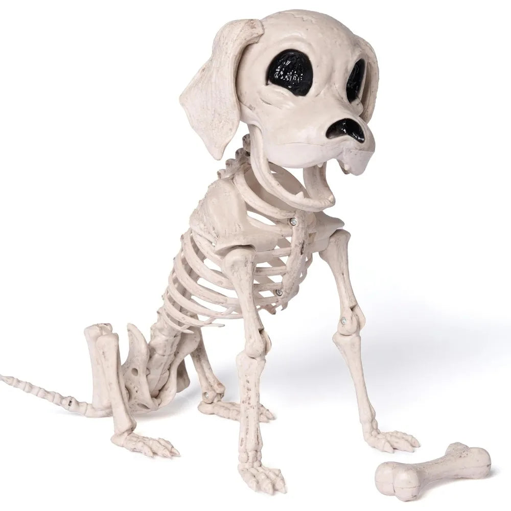 Posable Halloween Dog Skeleton – 12.6" Realistic Skeleton Puppy Decoration