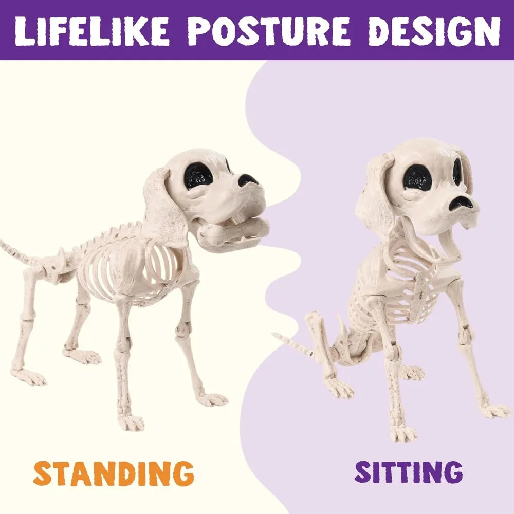 Posable Halloween Dog Skeleton – 12.6" Realistic Skeleton Puppy Decoration