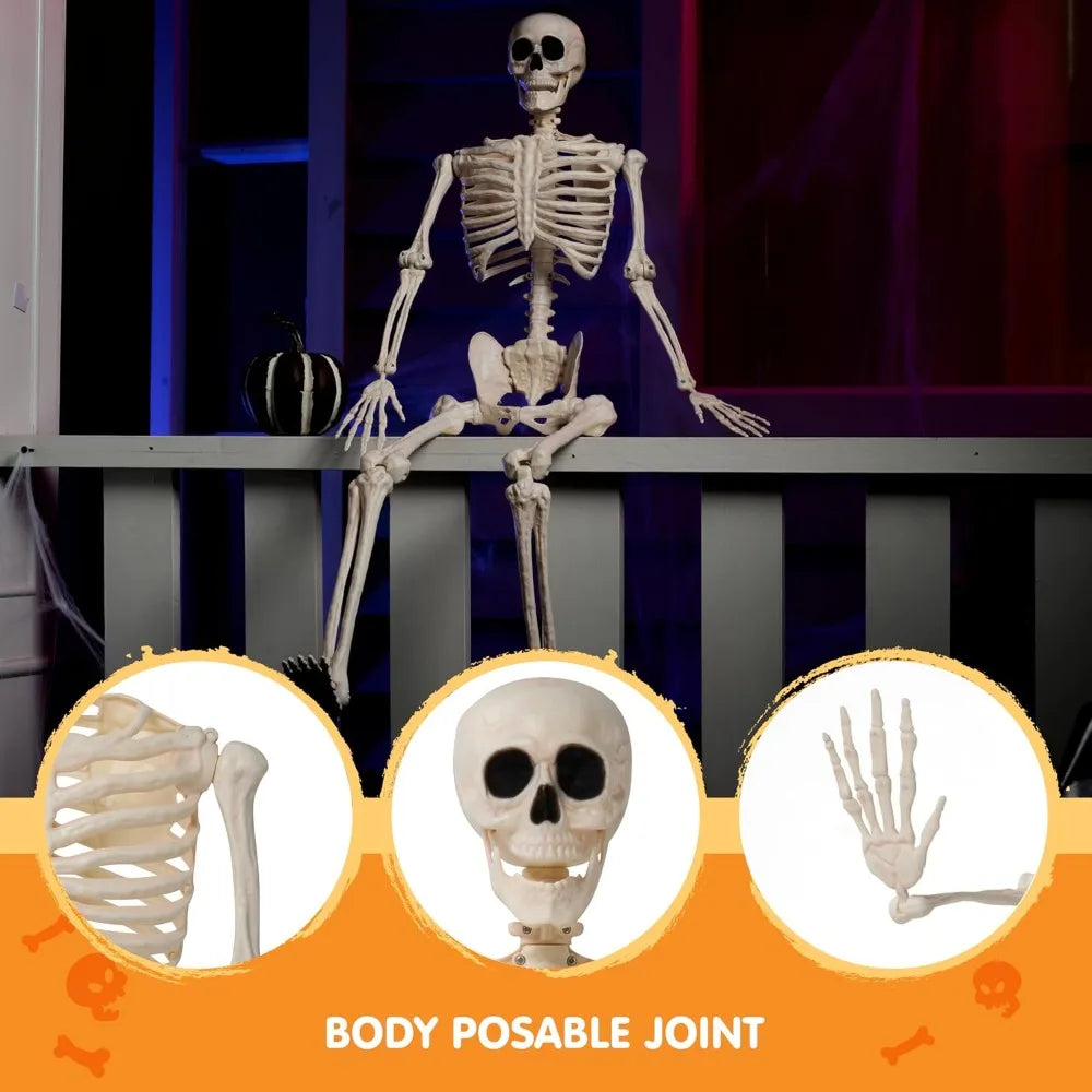 2-Pack 36" Posable Halloween Skeletons – Full-Body Hanging Décor & Photo Booth Props