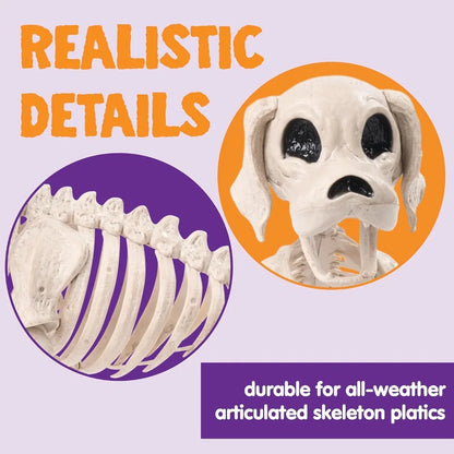 Posable Halloween Dog Skeleton – 12.6" Realistic Skeleton Puppy Decoration