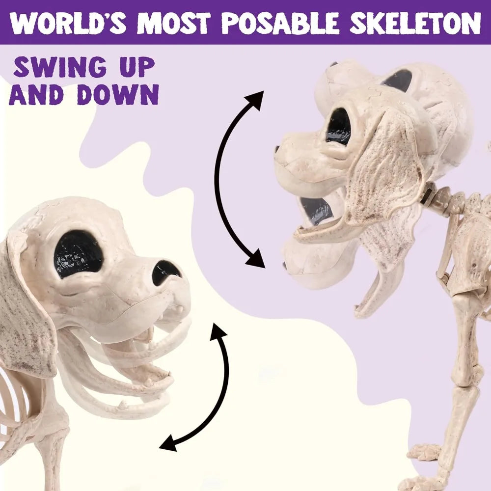 Posable Halloween Dog Skeleton – 12.6" Realistic Skeleton Puppy Decoration