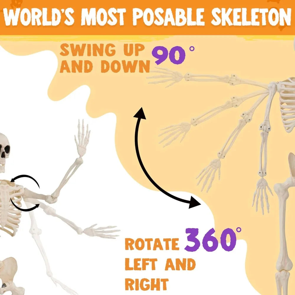 2-Pack 36" Posable Halloween Skeletons – Full-Body Hanging Décor & Photo Booth Props