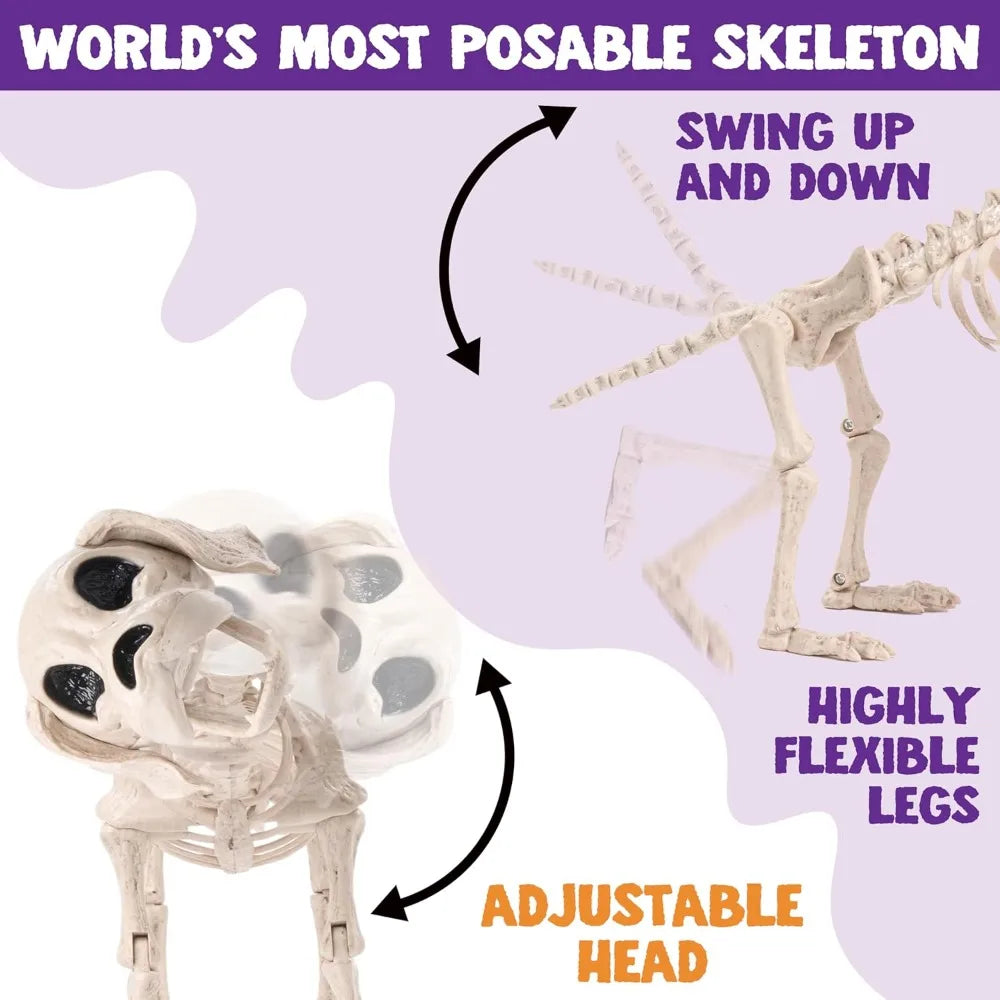 Posable Halloween Dog Skeleton – 12.6" Realistic Skeleton Puppy Decoration