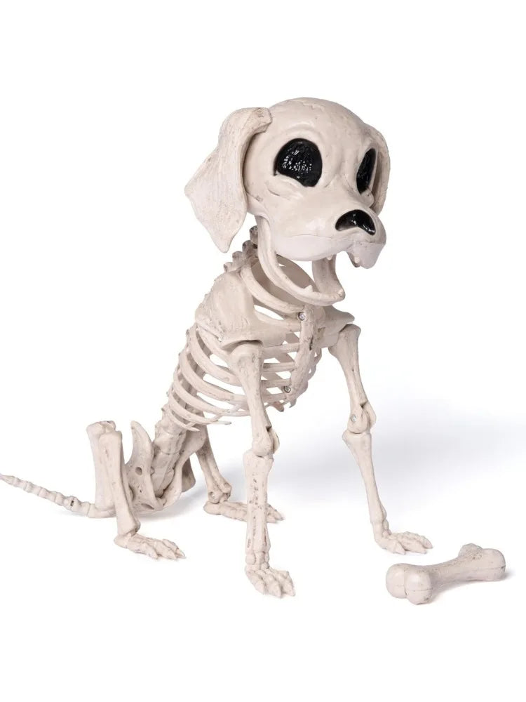 Posable Halloween Dog Skeleton – 12.6" Realistic Skeleton Puppy Decoration