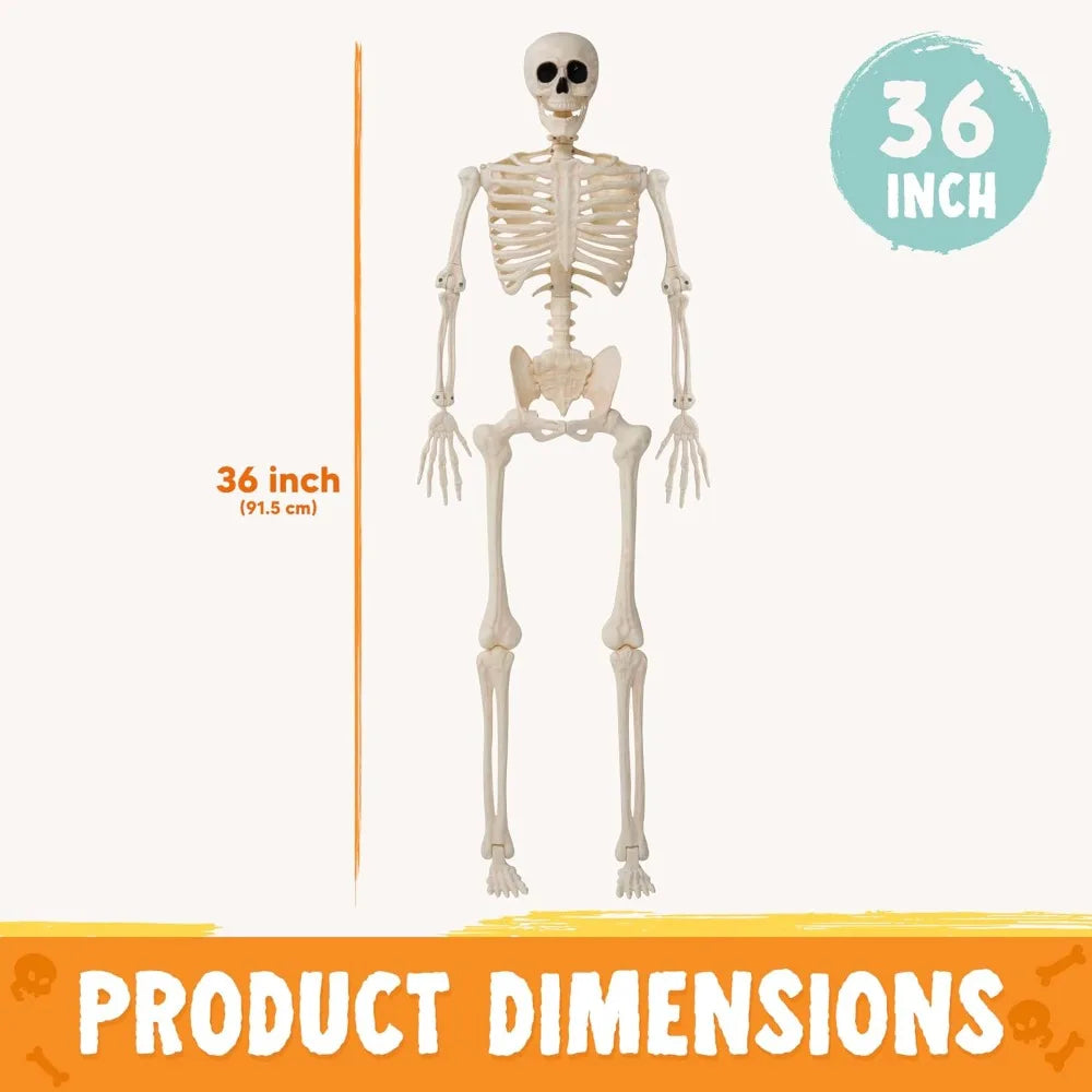 2-Pack 36" Posable Halloween Skeletons – Full-Body Hanging Décor & Photo Booth Props