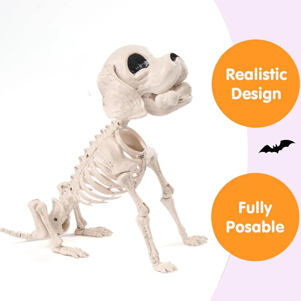 Posable Halloween Dog Skeleton – 12.6" Realistic Skeleton Puppy Decoration