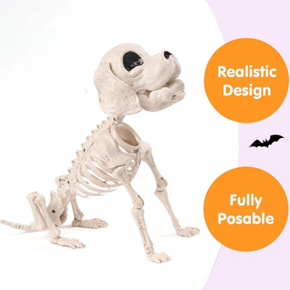 Posable Halloween Dog Skeleton – 12.6" Realistic Skeleton Puppy Decoration