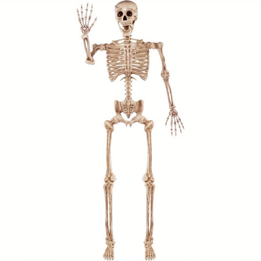5.6FT Life-Size Posable Halloween Skeleton – Full-Body Photo Booth, Party & Haunted House Prop