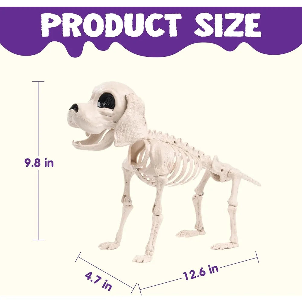 Posable Halloween Dog Skeleton – 12.6" Realistic Skeleton Puppy Decoration