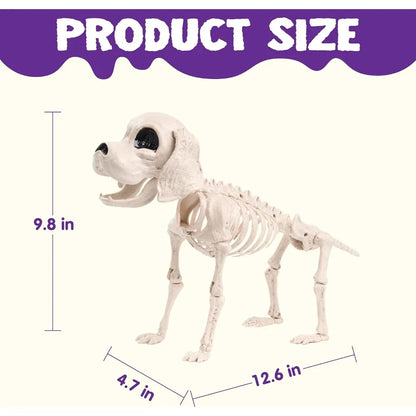 Posable Halloween Dog Skeleton – 12.6" Realistic Skeleton Puppy Decoration